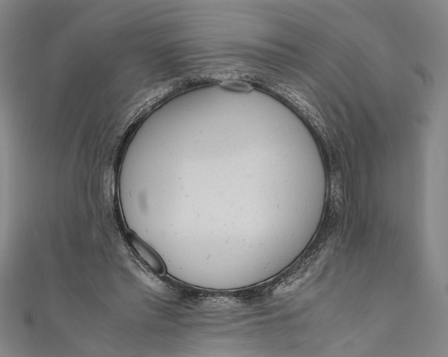 X0000110950397200907101311