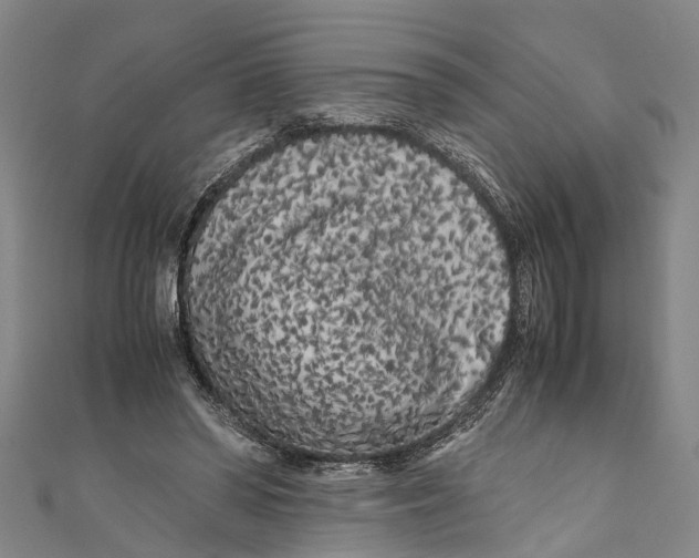 X0000110950398200907101311