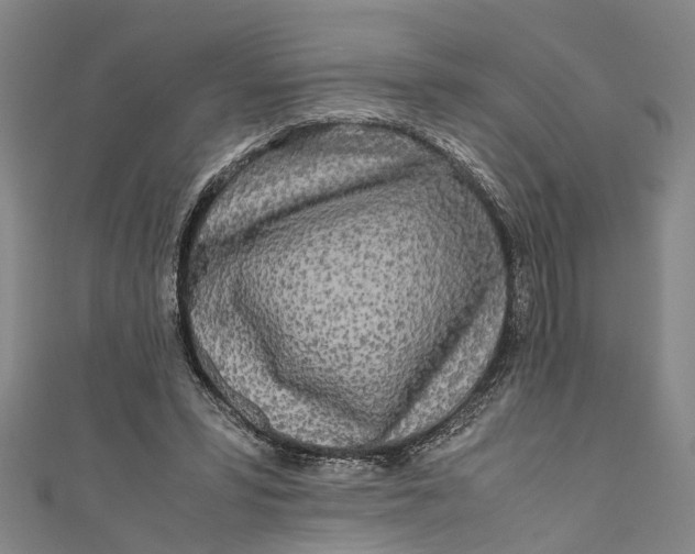 X0000110950399200907101311