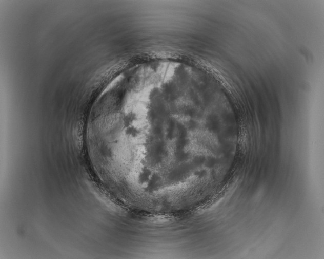 X0000110950402200907101311