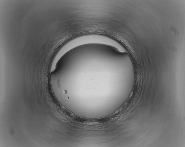 X0000110950403200907101311