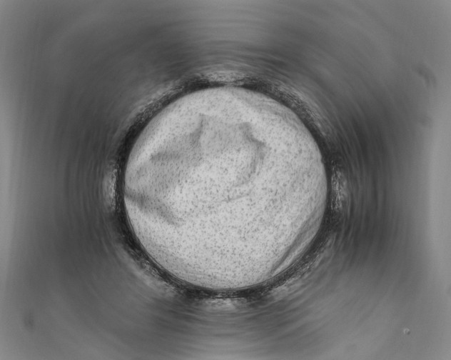 X0000110950404200907101311