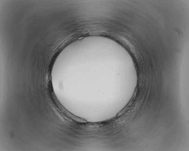 X0000110950405200907101311