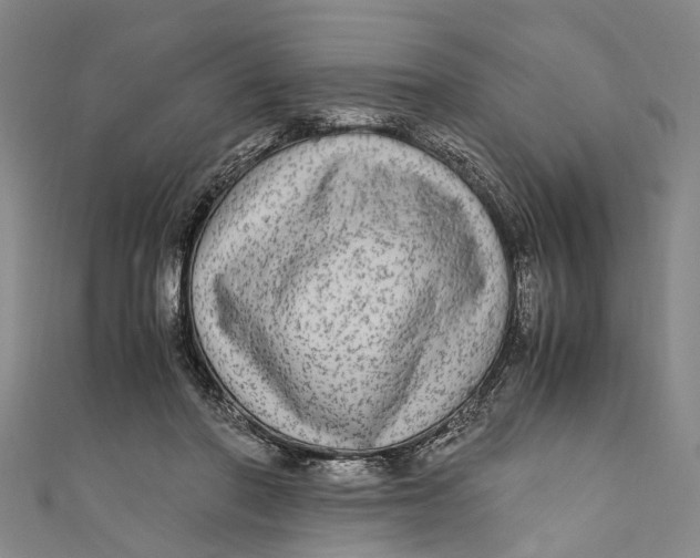 X0000110950406200907101311