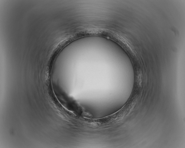 X0000110950407200907101311