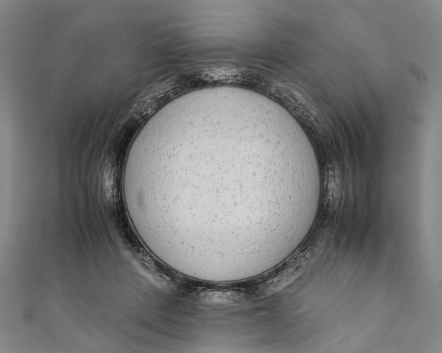 X0000110950408200907101311