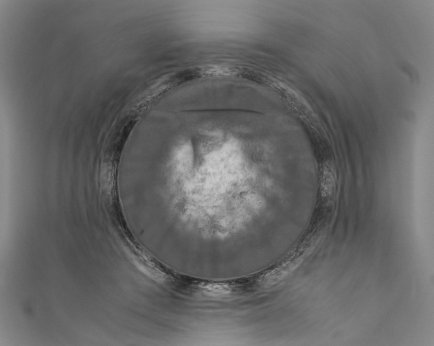 X0000110950409200907101311