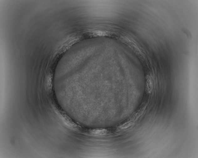 X0000110950410200907101311