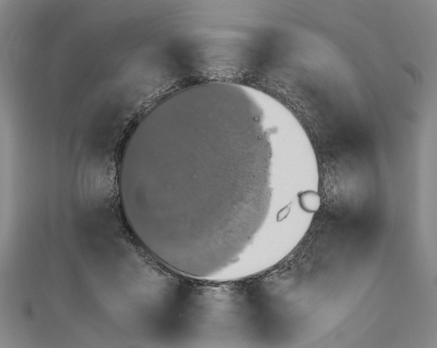 X0000110950411200907101311