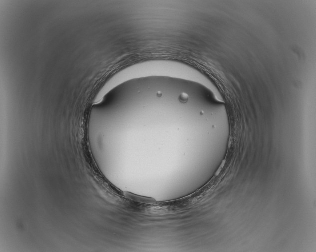 X0000110950413200907101311