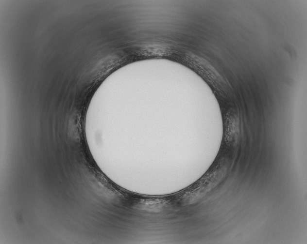 X0000110950414200907101311