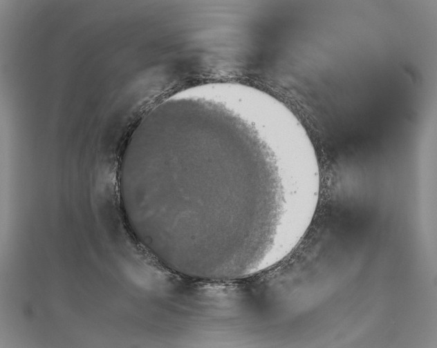 X0000110950415200907101311