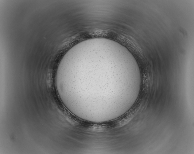 X0000110950416200907101311