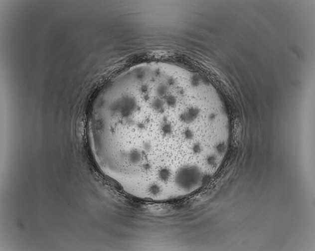 X0000110950417200907101311