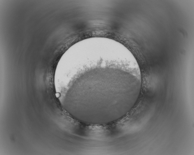 X0000110950419200907101311