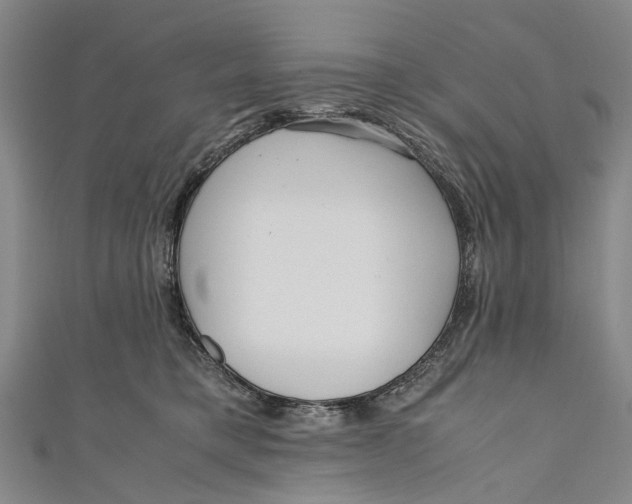 X0000110950421200907101311