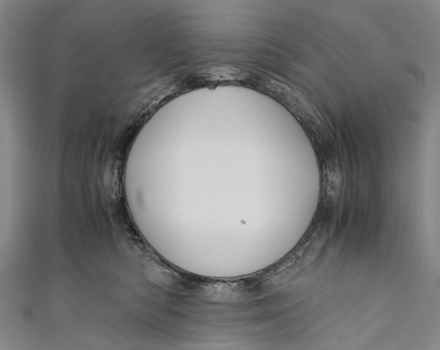 X0000110950422200907101311