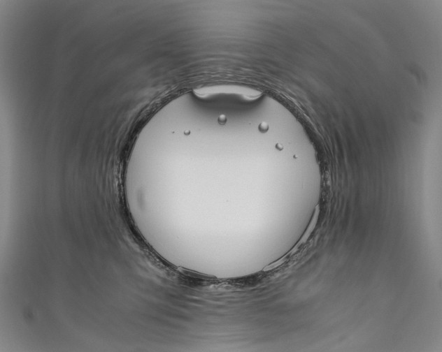 X0000110950423200907101311