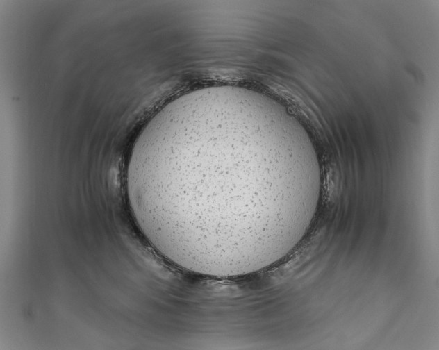 X0000110950424200907101311