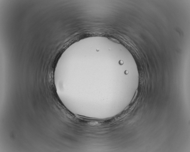 X0000110950425200907101311