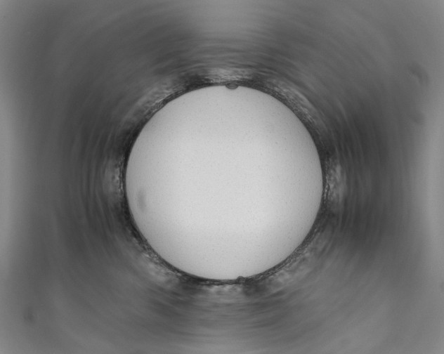 X0000110950426200907101311