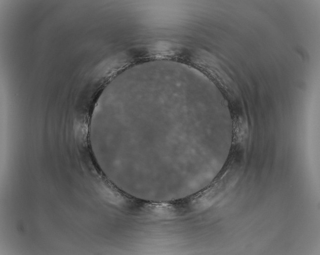 X0000110950427200907101311