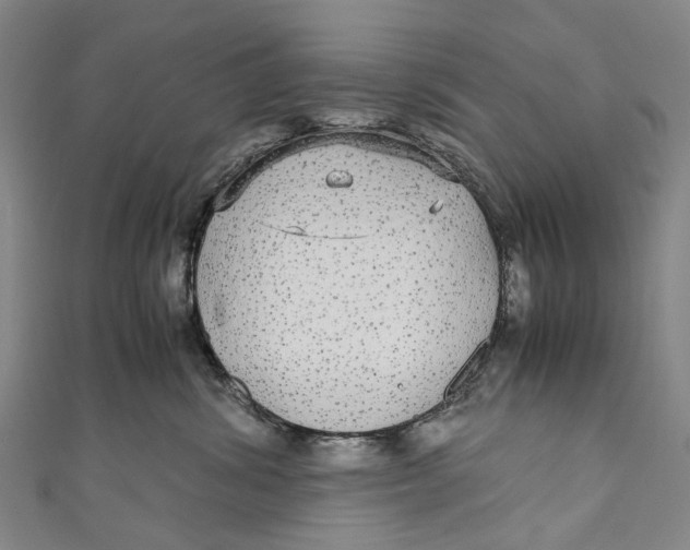 X0000110950428200907101311