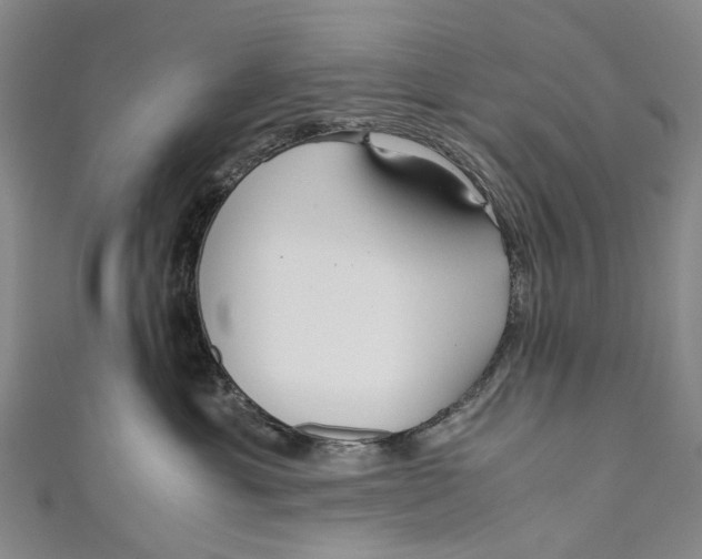 X0000110950429200907101311