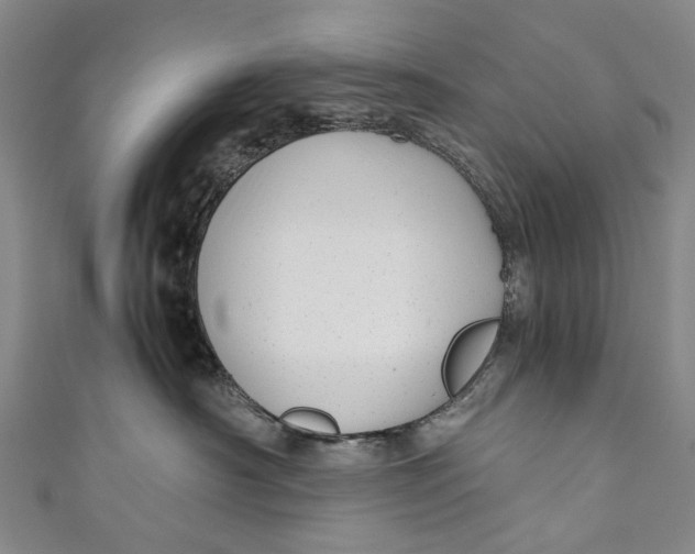 X0000110950430200907101311