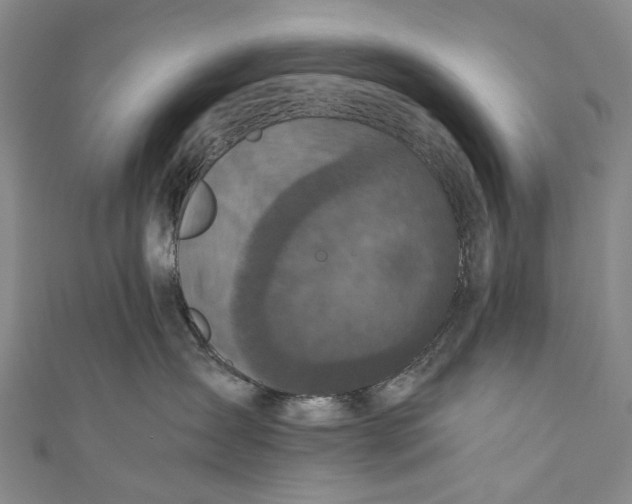 X0000110950431200907101311