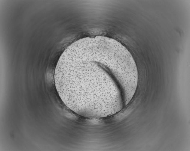 X0000110950432200907101311