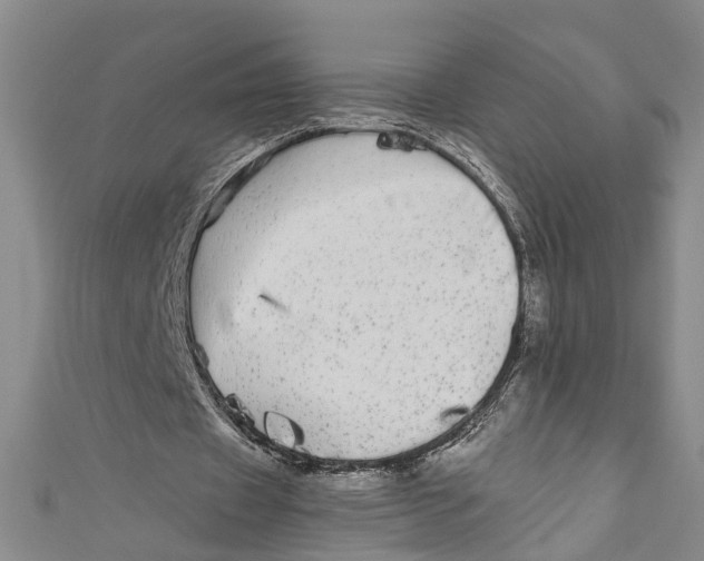 X0000110950433200907101310