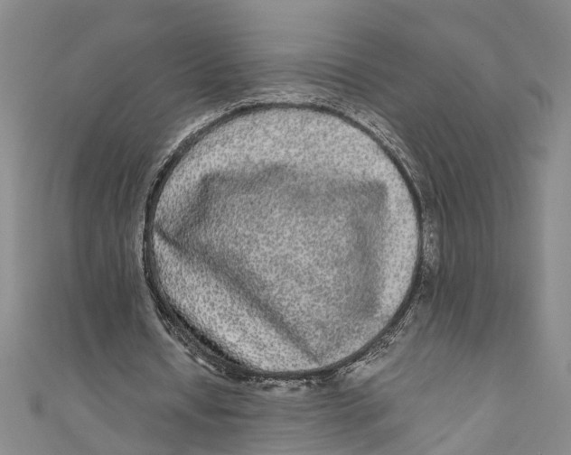 X0000110950434200907101310