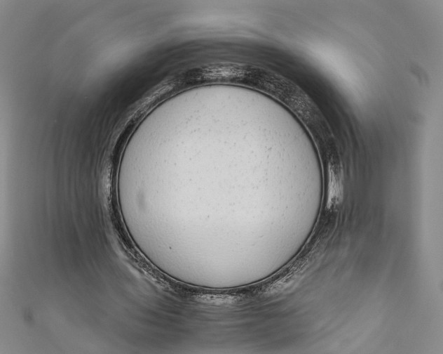 X0000110950435200907101310