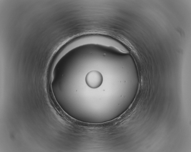 X0000110950436200907101310