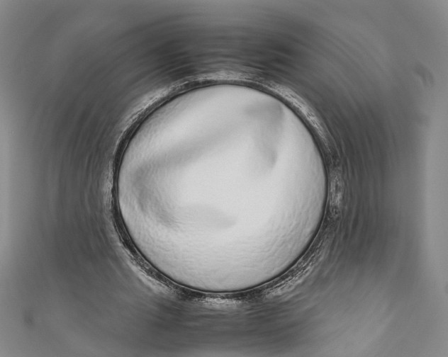 X0000110950437200907101310