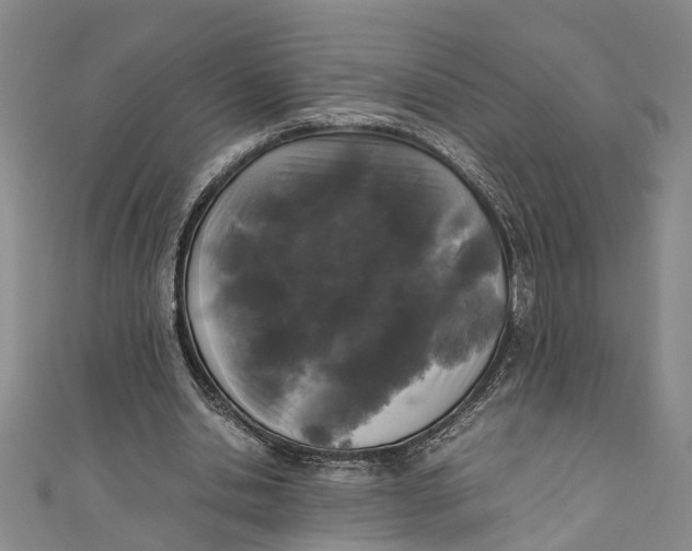 X0000110950438200907101310