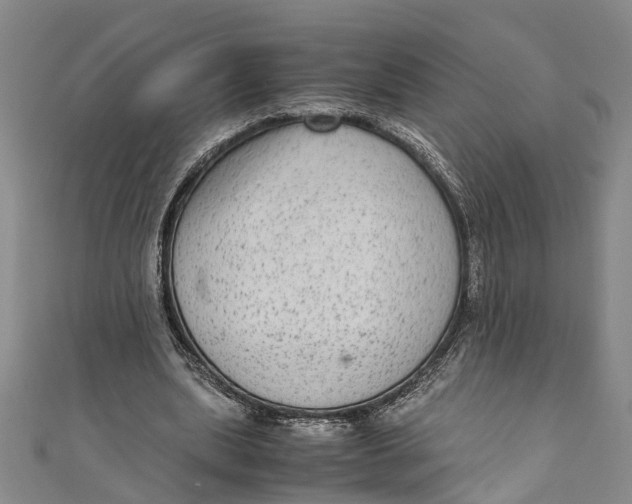 X0000110950439200907101310