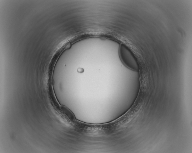 X0000110950440200907101310