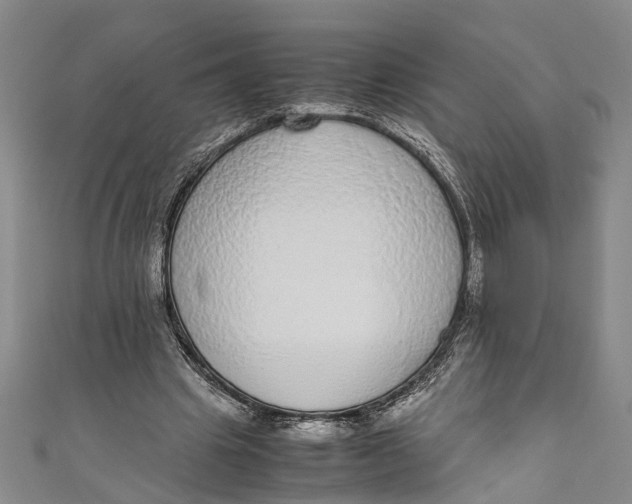 X0000110950441200907101310