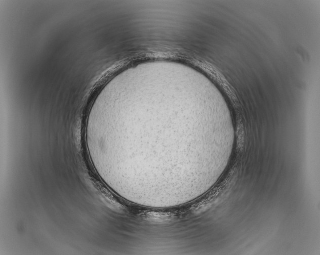 X0000110950442200907101310