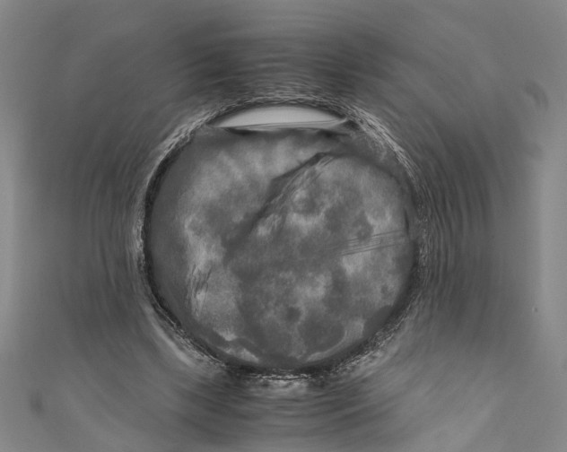 X0000110950443200907101310