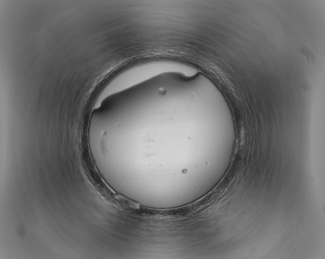 X0000110950444200907101310