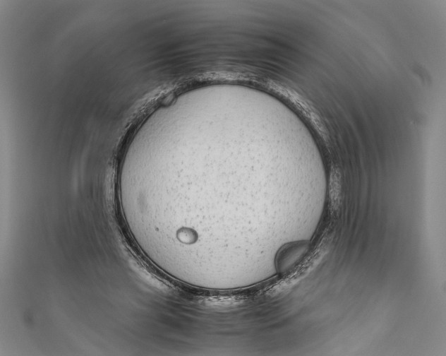 X0000110950445200907101310