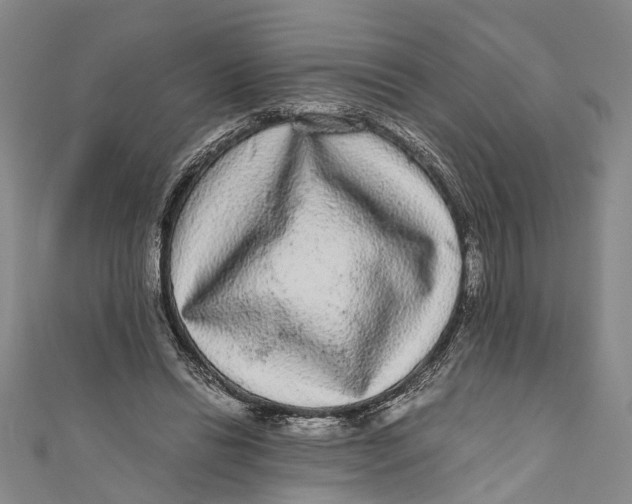 X0000110950446200907101310