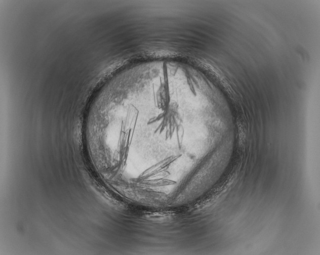 X0000110950447200907101310