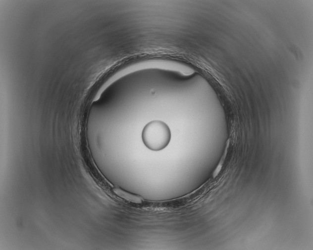 X0000110950448200907101310