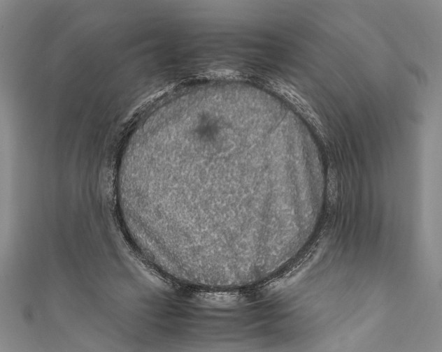 X0000110950449200907101310