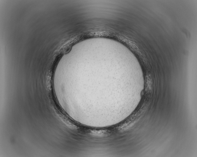 X0000110950450200907101310