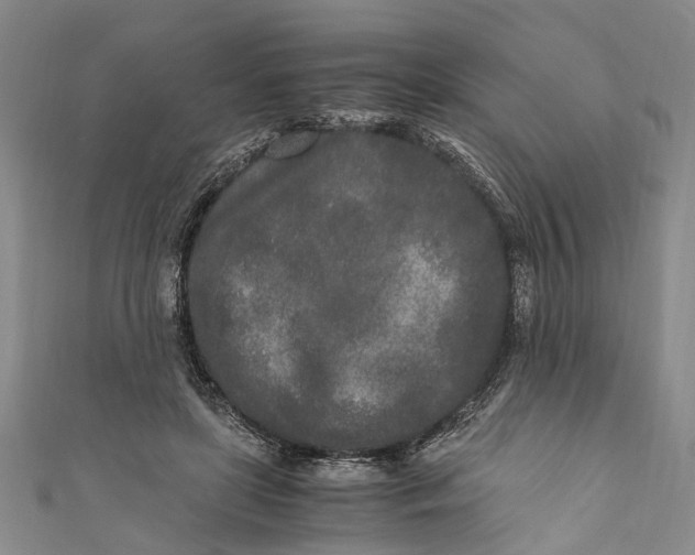 X0000110950451200907101310